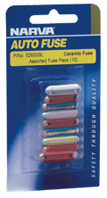 6AC-MXD-10P Fuses Mixed 6AC Packaged (10 per card)
