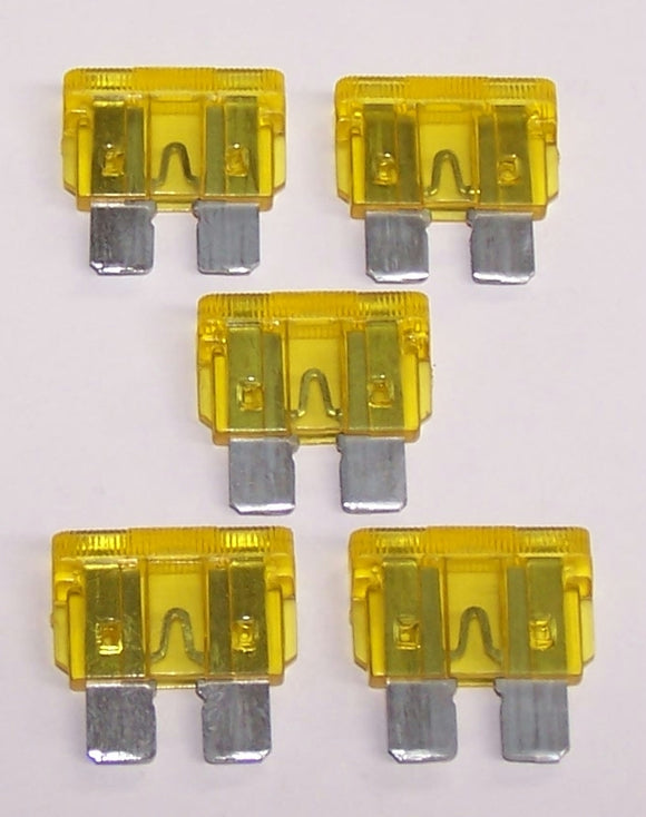 WE20P Fuses Wedge 20A Packaged